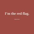 IM THE RED FLAG - brick
