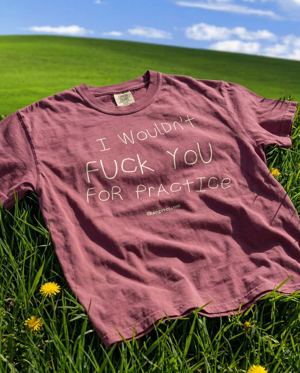 I Wouln't F*ck you for Practice - Brick